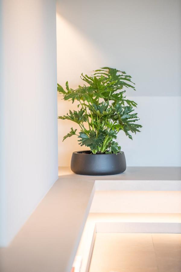 The Penthouse Nami, Branding, Ultra Luxurious Japanese Design Sea View Leilighet Cadzand Eksteriør bilde